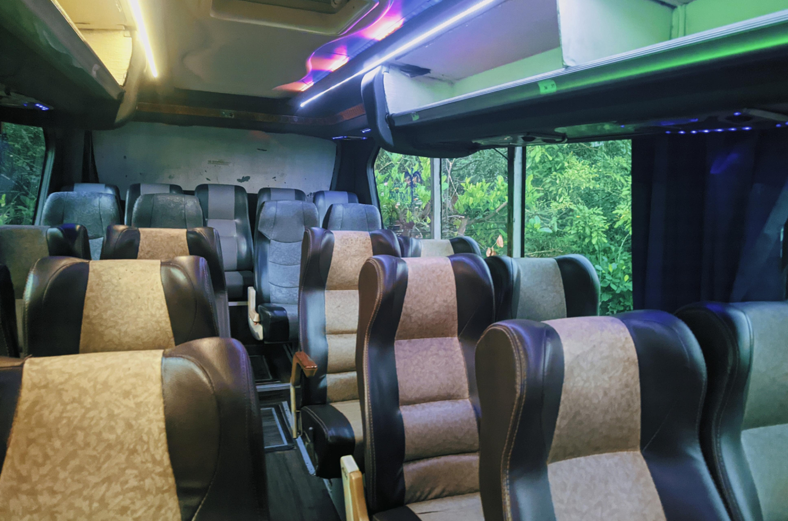 Luxury Coach Bus