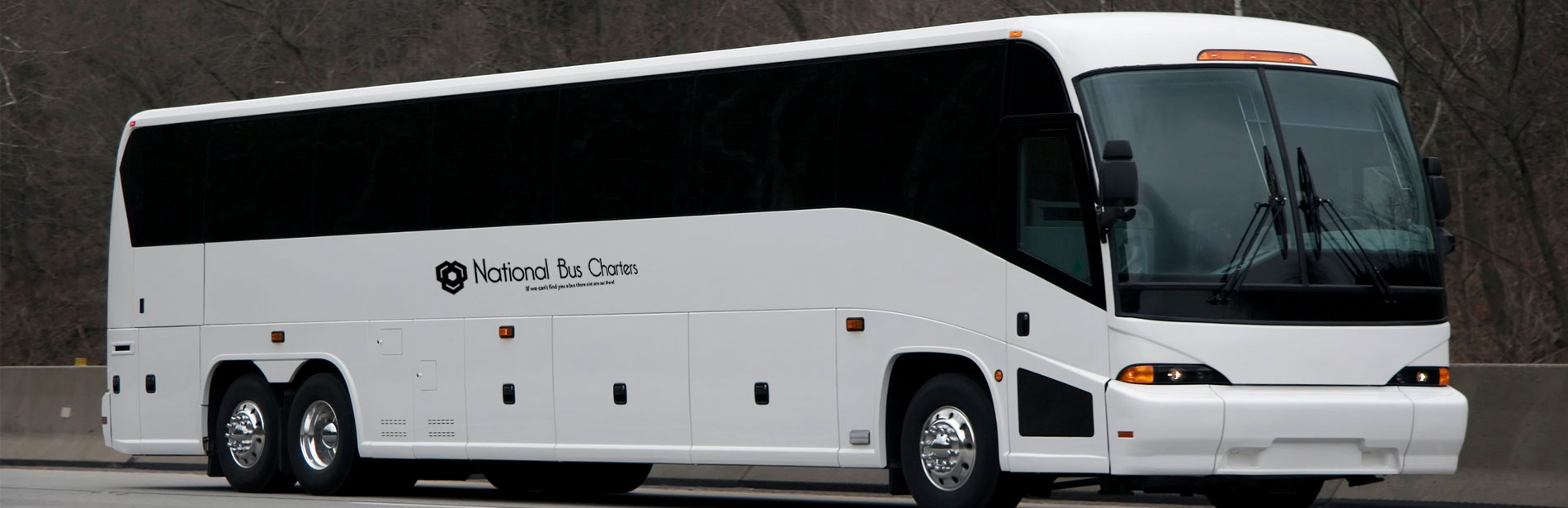 white luxury bus