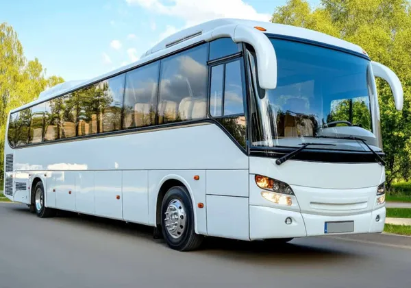 Coach bus rental